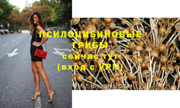 мет Горнозаводск