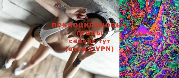 спайс Горняк