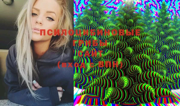 спайс Горняк