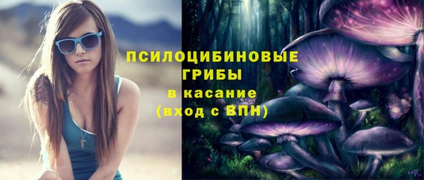 спайс Горняк