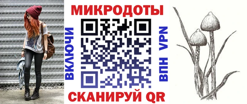 Галлюциногенные грибы GOLDEN TEACHER  Купить закладки  Новоаннинский 